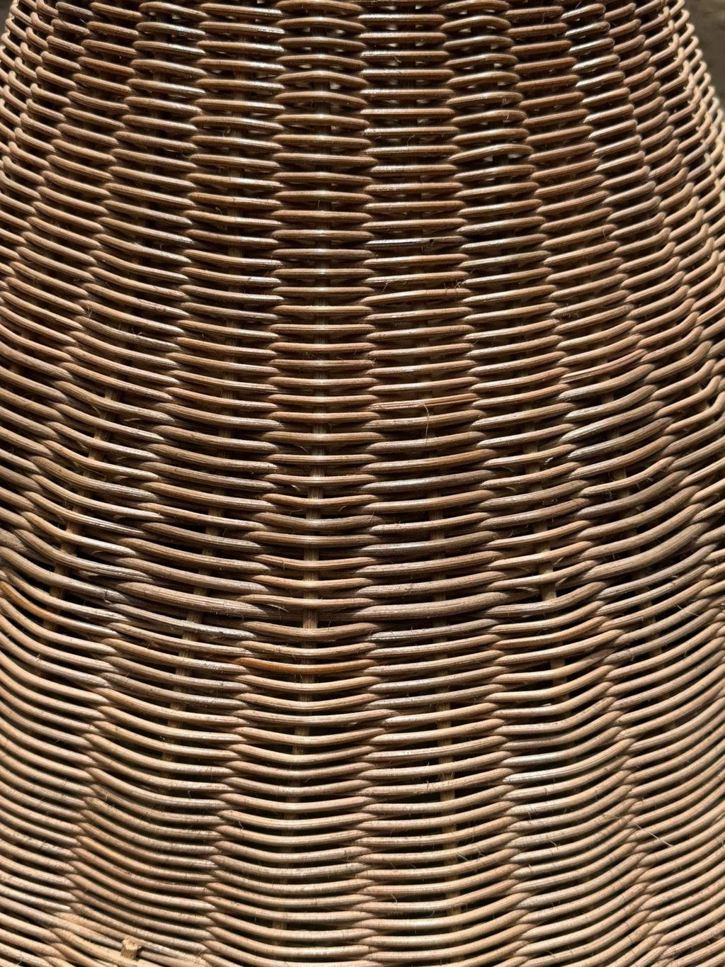 Costa, detalle 5 | Fibra Madre