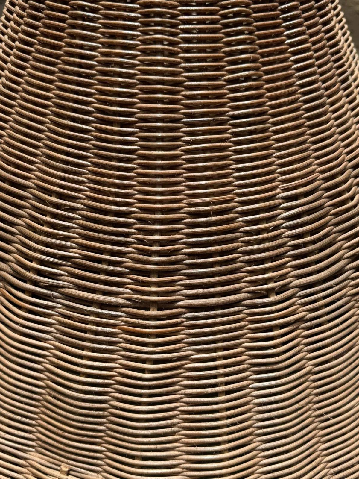 Costa, detalle 5 | Fibra Madre