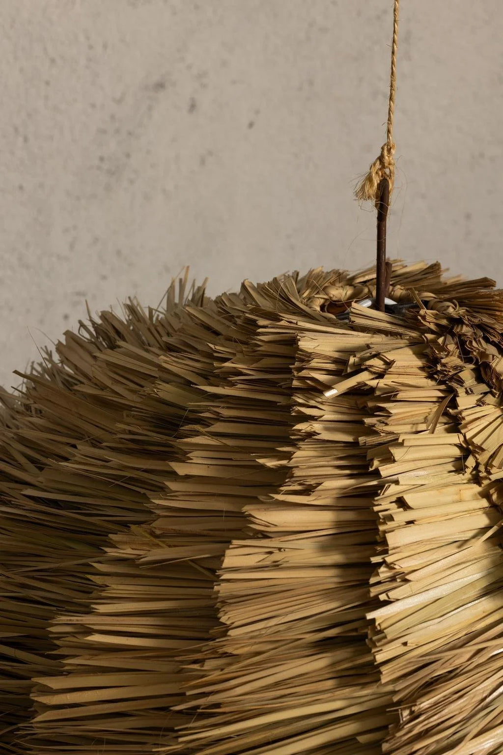 Coco, detalle 2 | Fibra Madre