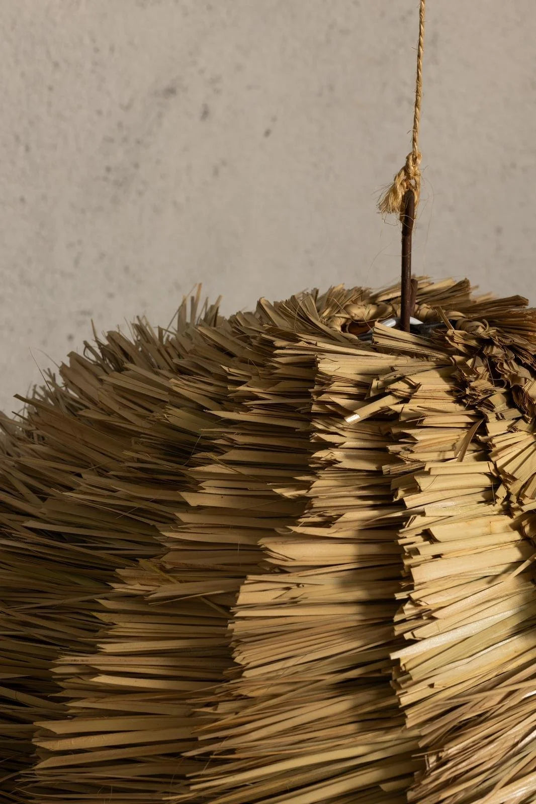 Coco, detalle 2 | Fibra Madre