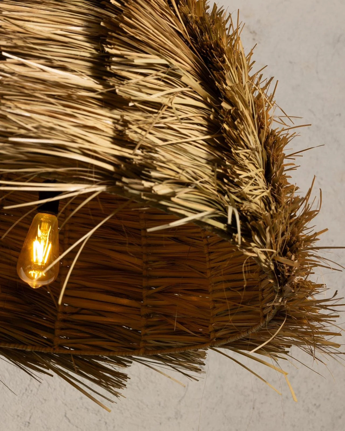 Coco, detalle 3 | Fibra Madre